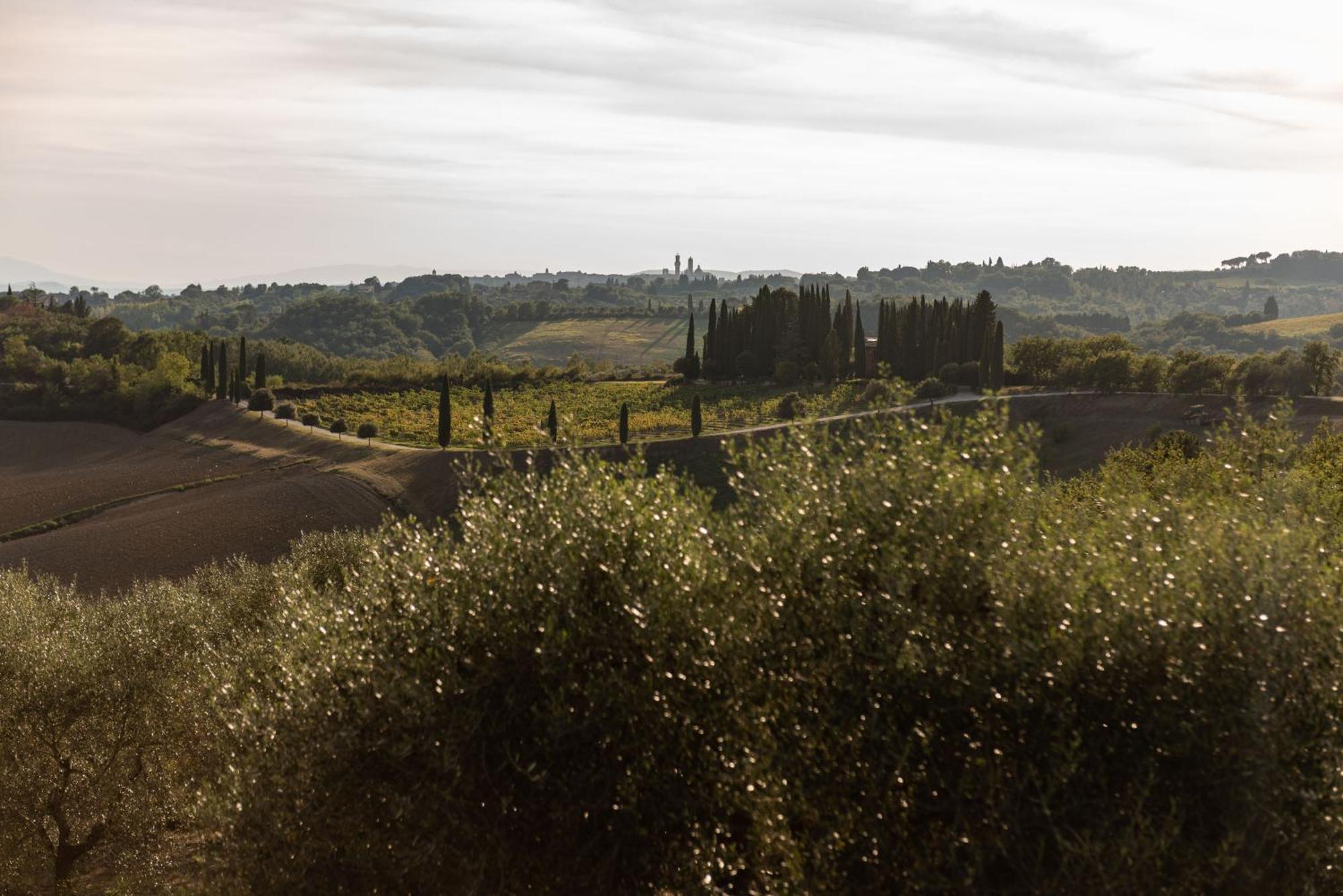 Villa Montelisi Siena Zewnętrze zdjęcie